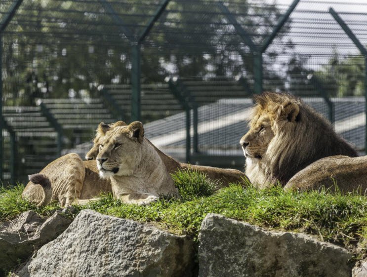 Folly Farm Adventure Park and Zoo, United Kingdom